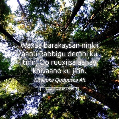 Picture 05 - Sabuurradii 32:2 SOM - Waxaa barakaysan ninkii aanu Rabbigu dembi ku - Bible Verse Picture