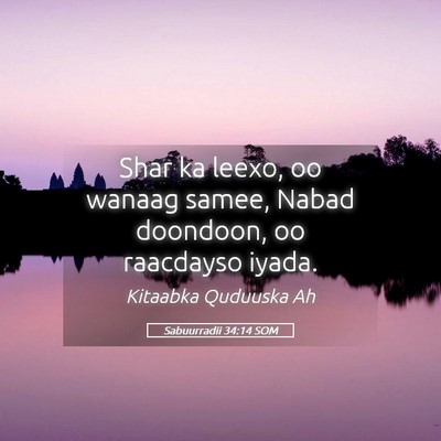 Picture 05 - Sabuurradii 34:14 SOM - Shar ka leexo, oo wanaag samee, Nabad doondoon, - Bible Verse Picture