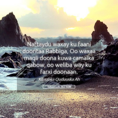 Picture 05 - Sabuurradii 34:2 SOM - Naftaydu waxay ku faani doontaa Rabbiga, Oo waxaa - Bible Verse Picture
