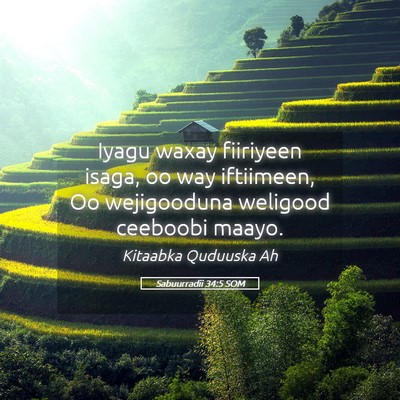 Picture 05 - Sabuurradii 34:5 SOM - Iyagu waxay fiiriyeen isaga, oo way iftiimeen, Oo - Bible Verse Picture