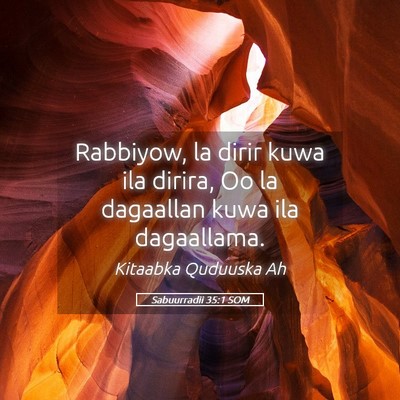 Picture 05 - Sabuurradii 35:1 SOM - Rabbiyow, la dirir kuwa ila dirira, Oo la - Bible Verse Picture