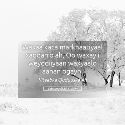 Picture 05 - Sabuurradii 35:11 SOM - Waxaa kaca markhaatiyaal xaqdarro ah, Oo waxay i - Bible Verse Picture
