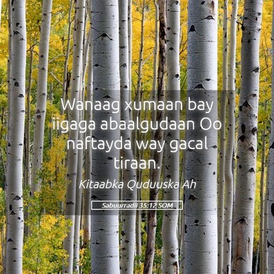 Picture 05 - Sabuurradii 35:12 SOM - Wanaag xumaan bay iigaga abaalgudaan Oo naftayda - Bible Verse Picture