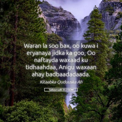 Picture 05 - Sabuurradii 35:3 SOM - Waran la soo bax, oo kuwa i eryanaya jidka ka - Bible Verse Picture