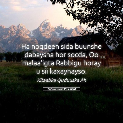 Picture 05 - Sabuurradii 35:5 SOM - Ha noqdeen sida buunshe dabaysha hor socda, Oo - Bible Verse Picture