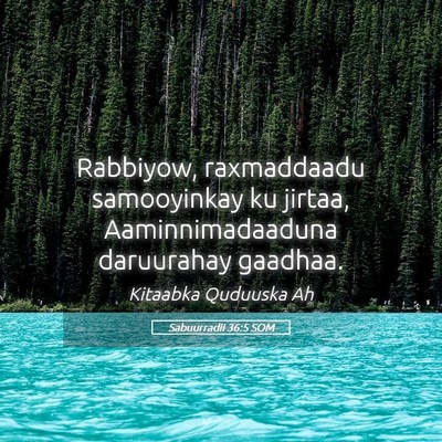 Picture 05 - Sabuurradii 36:5 SOM - Rabbiyow, raxmaddaadu samooyinkay ku jirtaa, - Bible Verse Picture