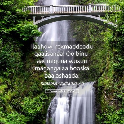 Picture 05 - Sabuurradii 36:7 SOM - Ilaahow, raxmaddaadu qaalisanaa! Oo - Bible Verse Picture