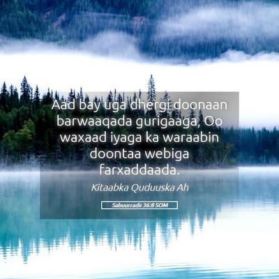 Picture 05 - Sabuurradii 36:8 SOM - Aad bay uga dhergi doonaan barwaaqada gurigaaga, - Bible Verse Picture