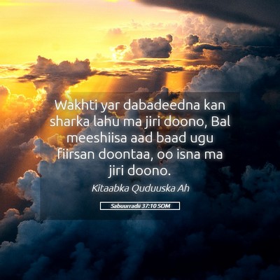 Picture 05 - Sabuurradii 37:10 SOM - Wakhti yar dabadeedna kan sharka lahu ma jiri - Bible Verse Picture
