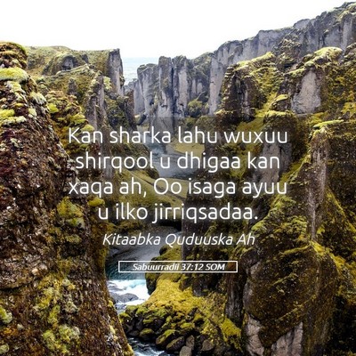Picture 05 - Sabuurradii 37:12 SOM - Kan sharka lahu wuxuu shirqool u dhigaa kan xaqa - Bible Verse Picture