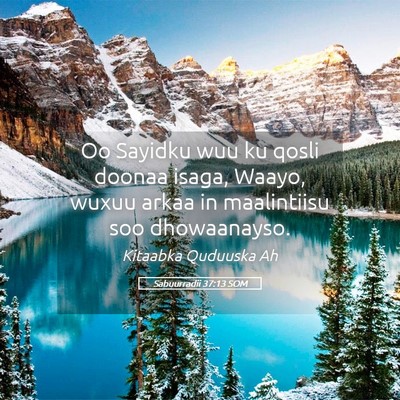 Picture 05 - Sabuurradii 37:13 SOM - Oo Sayidku wuu ku qosli doonaa isaga, Waayo, - Bible Verse Picture