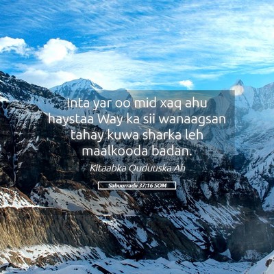 Picture 05 - Sabuurradii 37:16 SOM - Inta yar oo mid xaq ahu haystaa Way ka sii - Bible Verse Picture