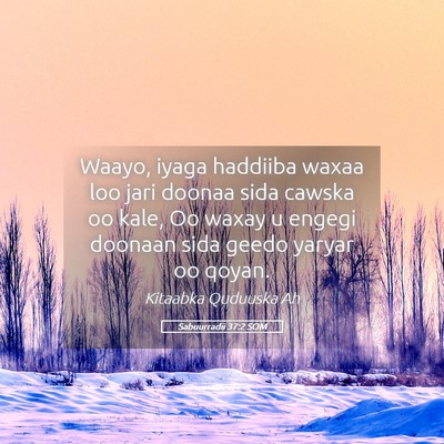 Picture 05 - Sabuurradii 37:2 SOM - Waayo, iyaga haddiiba waxaa loo jari doonaa sida - Bible Verse Picture
