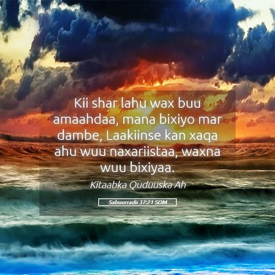 Picture 05 - Sabuurradii 37:21 SOM - Kii shar lahu wax buu amaahdaa, mana bixiyo mar - Bible Verse Picture