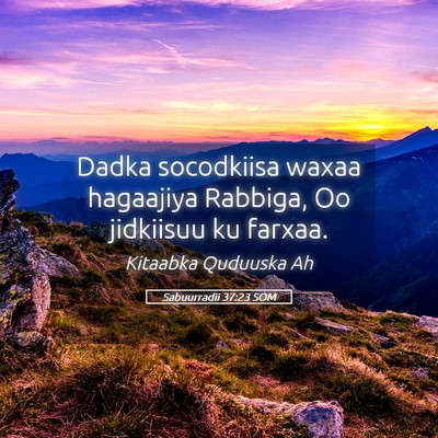 Picture 05 - Sabuurradii 37:23 SOM - Dadka socodkiisa waxaa hagaajiya Rabbiga, Oo - Bible Verse Picture