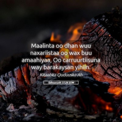Picture 05 - Sabuurradii 37:26 SOM - Maalinta oo dhan wuu naxariistaa oo wax buu - Bible Verse Picture