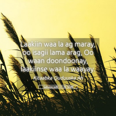 Picture 05 - Sabuurradii 37:36 SOM - Laakiin waa la ag maray, oo isagii lama arag, Oo - Bible Verse Picture