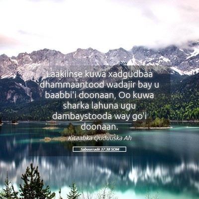 Picture 05 - Sabuurradii 37:38 SOM - Laakiinse kuwa xadgudbaa dhammaantood wadajir bay - Bible Verse Picture