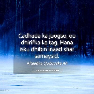 Picture 05 - Sabuurradii 37:8 SOM - Cadhada ka joogso, oo dhirifka ka tag, Hana isku - Bible Verse Picture