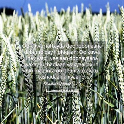 Picture 05 - Sabuurradii 38:12 SOM - Oo kuwa naftayda doondoonaana dabinno bay ii - Bible Verse Picture