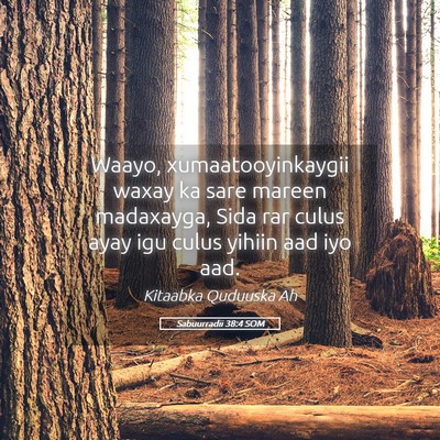 Picture 05 - Sabuurradii 38:4 SOM - Waayo, xumaatooyinkaygii waxay ka sare mareen - Bible Verse Picture