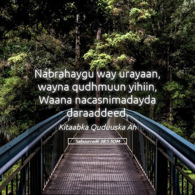 Picture 05 - Sabuurradii 38:5 SOM - Nabrahaygu way urayaan, wayna qudhmuun yihiin, - Bible Verse Picture