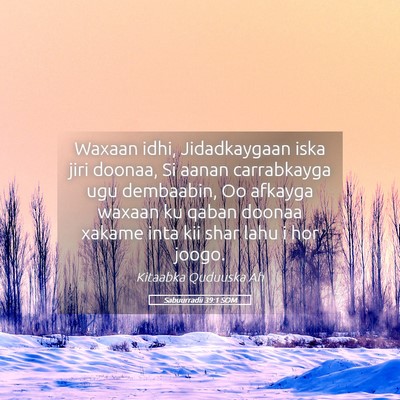 Picture 05 - Sabuurradii 39:1 SOM - Waxaan idhi, Jidadkaygaan iska jiri doonaa, Si - Bible Verse Picture
