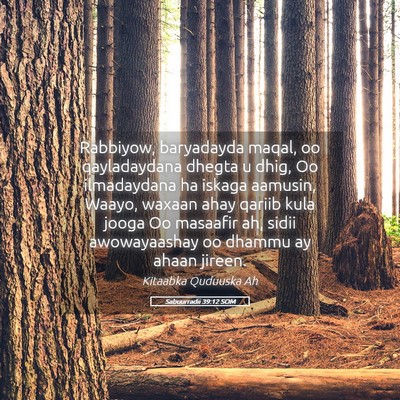 Picture 05 - Sabuurradii 39:12 SOM - Rabbiyow, baryadayda maqal, oo qayladaydana - Bible Verse Picture