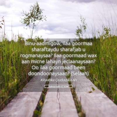 Picture 05 - Sabuurradii 4:2 SOM - Binu-aadmigow, ilaa goormaa sharaftaydu sharafjab - Bible Verse Picture