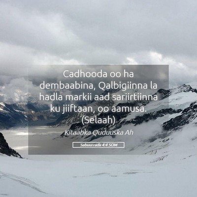 Picture 05 - Sabuurradii 4:4 SOM - Cadhooda oo ha dembaabina, Qalbigiinna la hadla - Bible Verse Picture
