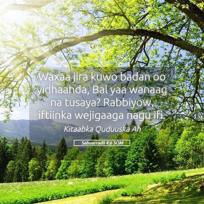 Picture 05 - Sabuurradii 4:6 SOM - Waxaa jira kuwo badan oo yidhaahda, Bal yaa - Bible Verse Picture