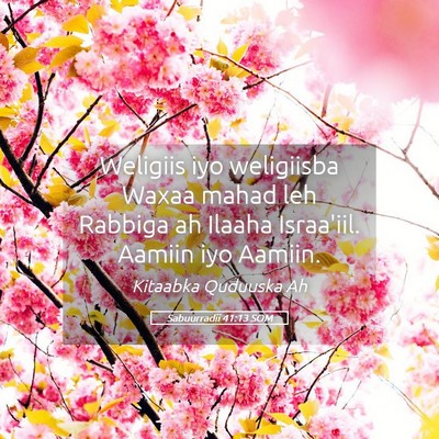Picture 05 - Sabuurradii 41:13 SOM - Weligiis iyo weligiisba Waxaa mahad leh Rabbiga - Bible Verse Picture