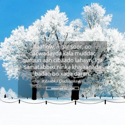 Picture 05 - Sabuurradii 43:1 SOM - Ilaahow, ii gar soor, oo dacwadayda kala muddac - Bible Verse Picture