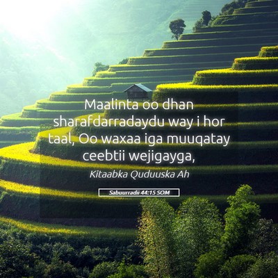Picture 05 - Sabuurradii 44:15 SOM - Maalinta oo dhan sharafdarradaydu way i hor taal, - Bible Verse Picture