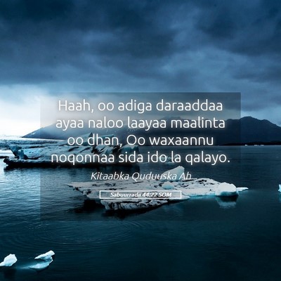 Picture 05 - Sabuurradii 44:22 SOM - Haah, oo adiga daraaddaa ayaa naloo laayaa - Bible Verse Picture