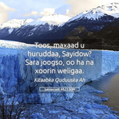 Picture 05 - Sabuurradii 44:23 SOM - Toos, maxaad u huruddaa, Sayidow? Sara joogso, oo - Bible Verse Picture