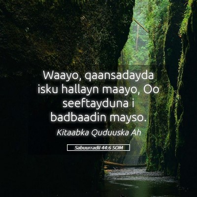 Picture 05 - Sabuurradii 44:6 SOM - Waayo, qaansadayda isku hallayn maayo, Oo - Bible Verse Picture
