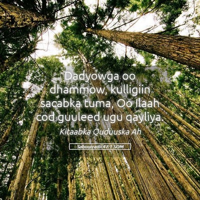 Picture 05 - Sabuurradii 47:1 SOM - Dadyowga oo dhammow, kulligiin sacabka tuma, Oo - Bible Verse Picture
