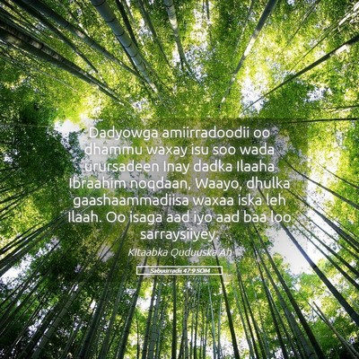 Picture 05 - Sabuurradii 47:9 SOM - Dadyowga amiirradoodii oo dhammu waxay isu soo - Bible Verse Picture