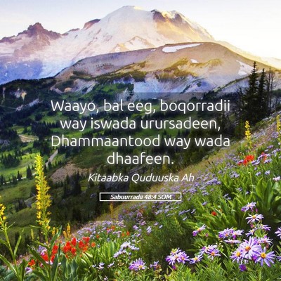 Picture 05 - Sabuurradii 48:4 SOM - Waayo, bal eeg, boqorradii way iswada urursadeen, - Bible Verse Picture