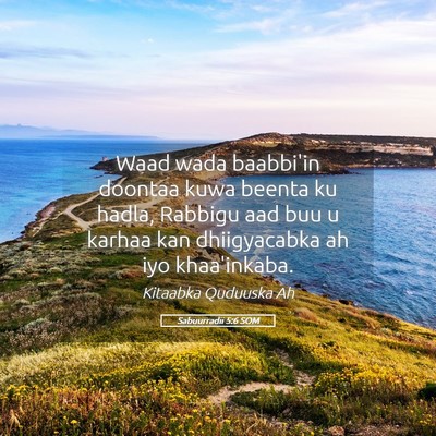 Picture 05 - Sabuurradii 5:6 SOM - Waad wada baabbi'in doontaa kuwa beenta ku hadla, - Bible Verse Picture