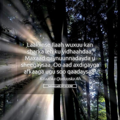 Picture 05 - Sabuurradii 50:16 SOM - Laakiinse Ilaah wuxuu kan sharka leh ku - Bible Verse Picture