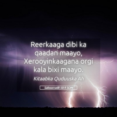 Picture 05 - Sabuurradii 50:9 SOM - Reerkaaga dibi ka qaadan maayo, Xerooyinkaagana - Bible Verse Picture