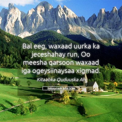 Picture 05 - Sabuurradii 51:6 SOM - Bal eeg, waxaad uurka ka jeceshahay run, Oo - Bible Verse Picture