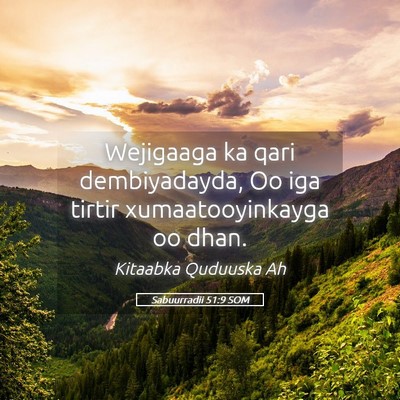 Picture 05 - Sabuurradii 51:9 SOM - Wejigaaga ka qari dembiyadayda, Oo iga tirtir - Bible Verse Picture