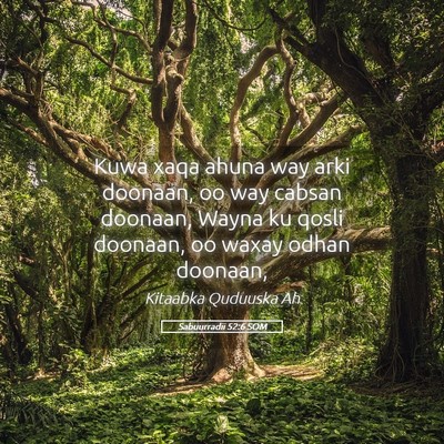 Picture 05 - Sabuurradii 52:6 SOM - Kuwa xaqa ahuna way arki doonaan, oo way cabsan - Bible Verse Picture