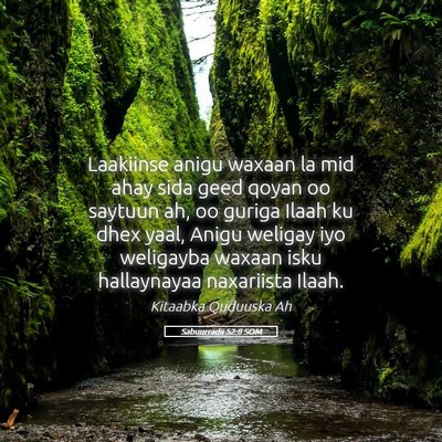 Picture 05 - Sabuurradii 52:8 SOM - Laakiinse anigu waxaan la mid ahay sida geed - Bible Verse Picture