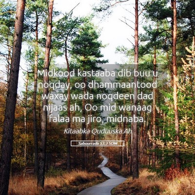 Picture 05 - Sabuurradii 53:3 SOM - Midkood kastaaba dib buu u noqday, oo - Bible Verse Picture