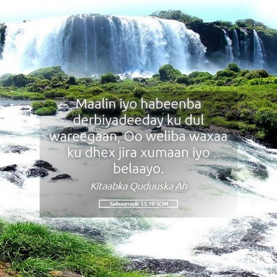 Picture 05 - Sabuurradii 55:10 SOM - Maalin iyo habeenba derbiyadeeday ku dul - Bible Verse Picture