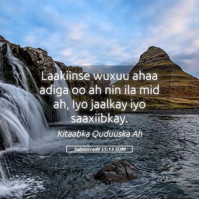 Picture 05 - Sabuurradii 55:13 SOM - Laakiinse wuxuu ahaa adiga oo ah nin ila mid ah, - Bible Verse Picture